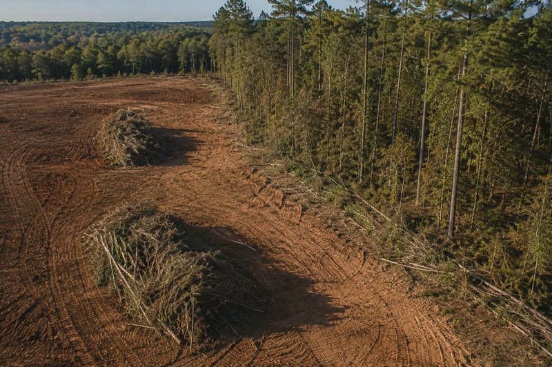 Land clearing cost — By acre, by vegetation density, by clearing method.