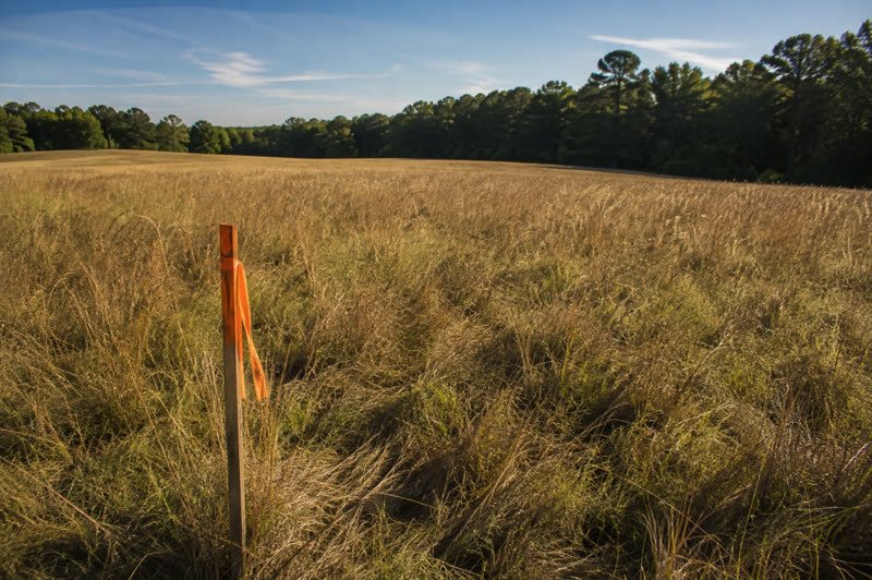 Buying raw land checklist — What to check before you close, in order.