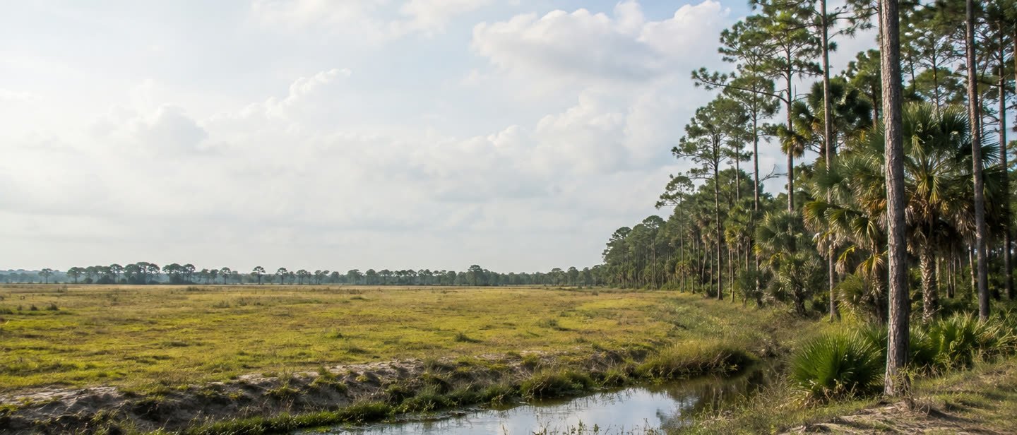 Rural land on the outskirts of Lakeland, Florida