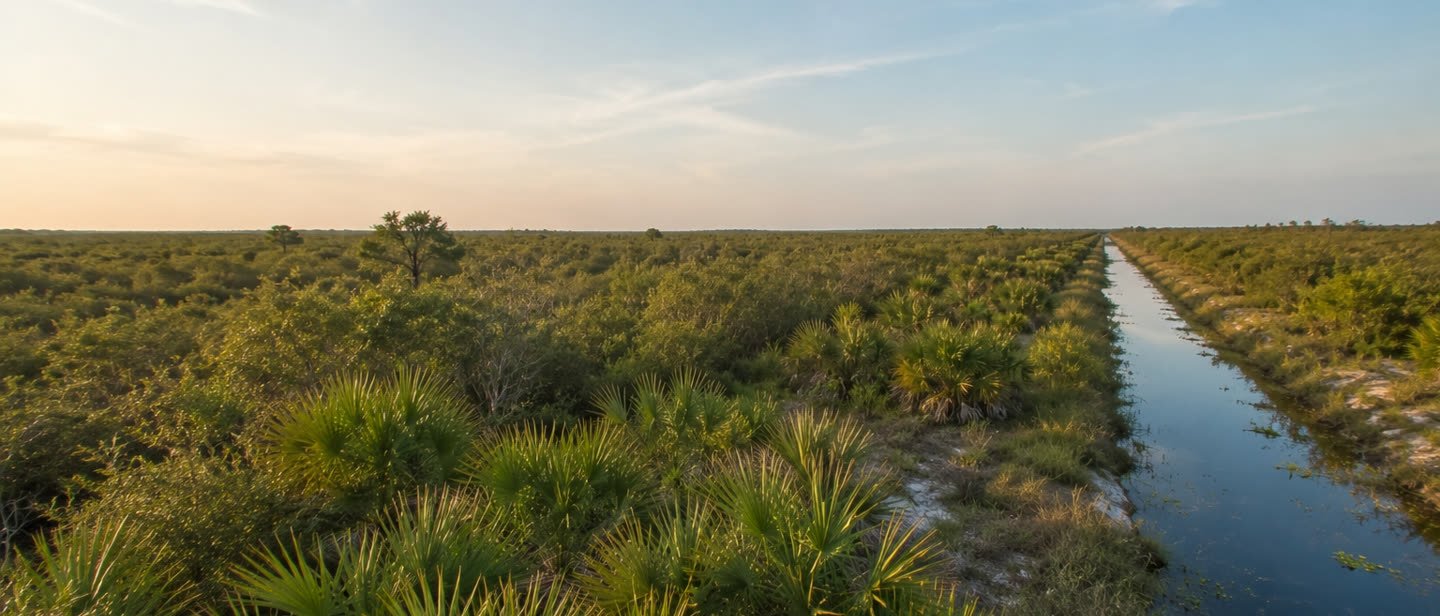 Rural land on the outskirts of North Port, Florida