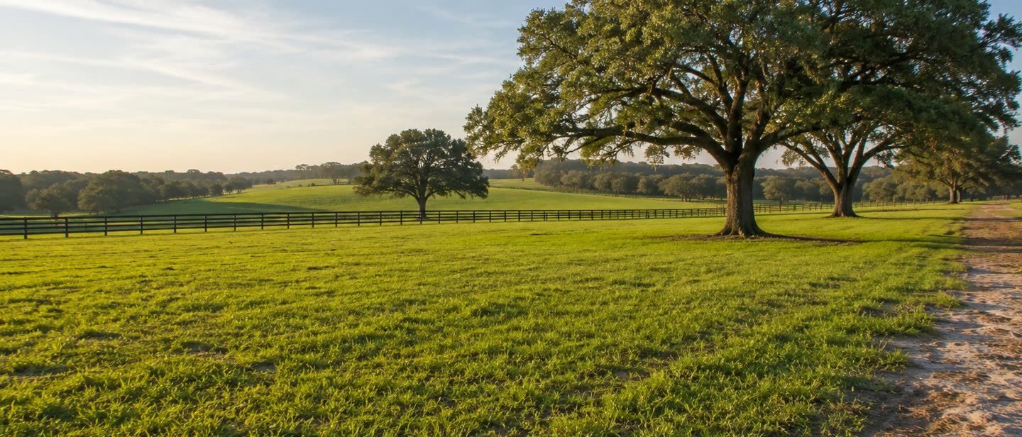 Rural land on the outskirts of Ocala, Florida