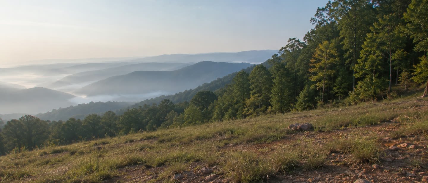 Rural land on the outskirts of Asheville, North Carolina
