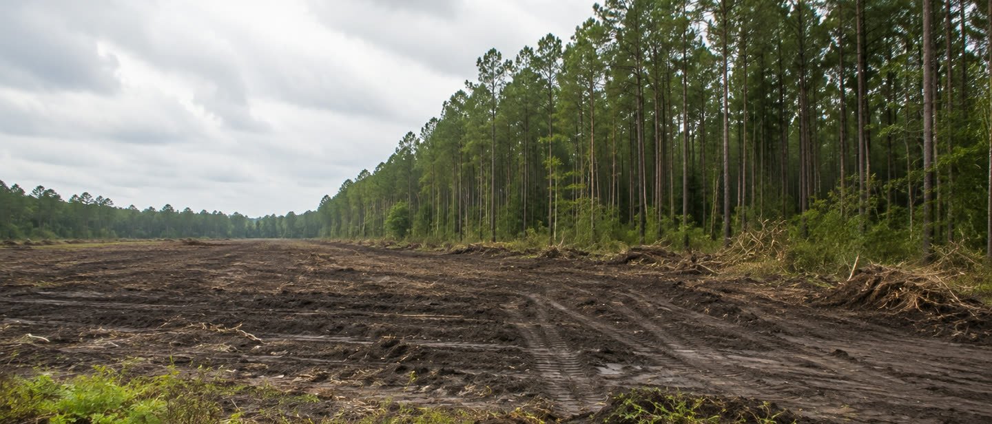 Rural land on the outskirts of Houston, Texas