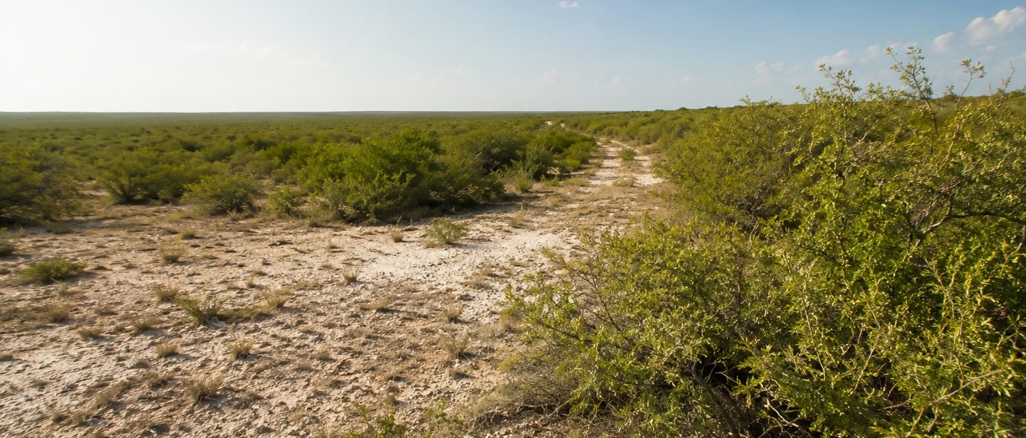 Rural land on the outskirts of San Antonio, Texas